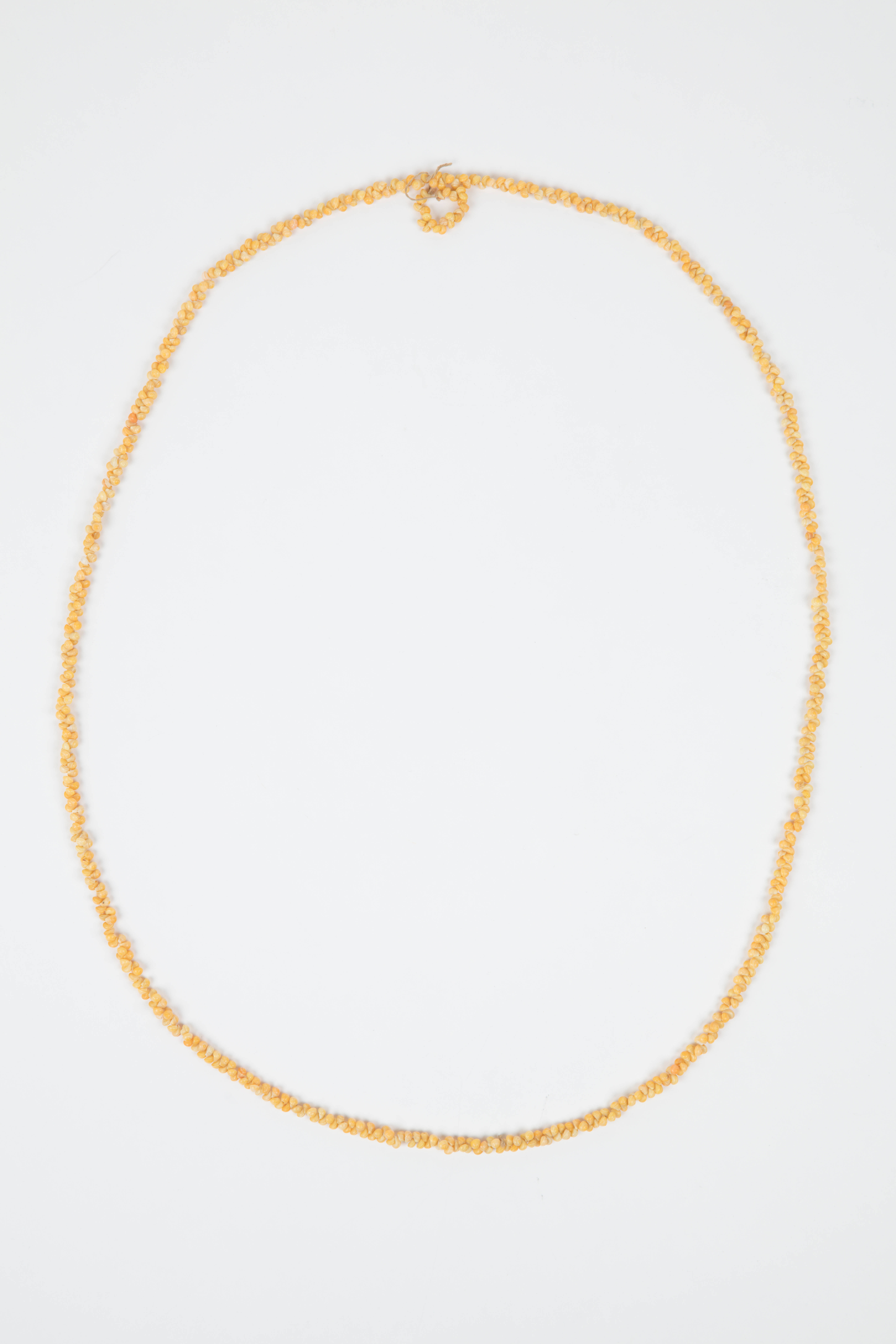 ornament, neck, 37950, Photographed by Daan Hoffmann, digital, 23 Jan 2019, Cultural Permissions Apply